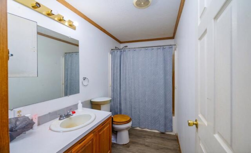 hall bath w curtain