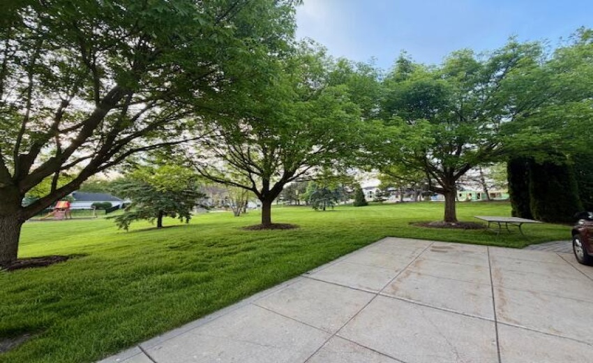 Side yard view 5