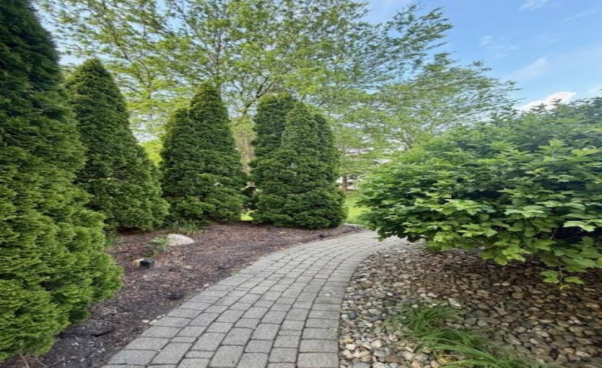 Privacy side Trees