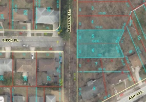 231-241 Marion Street, Gary, Indiana, ,Land,For Sale,Marion,NRA839172 231-241 Marion Street, Gary, Indiana, ,Land,For Sale,Marion,NRA839172