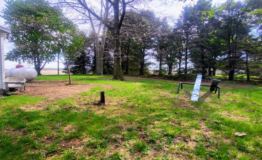yard