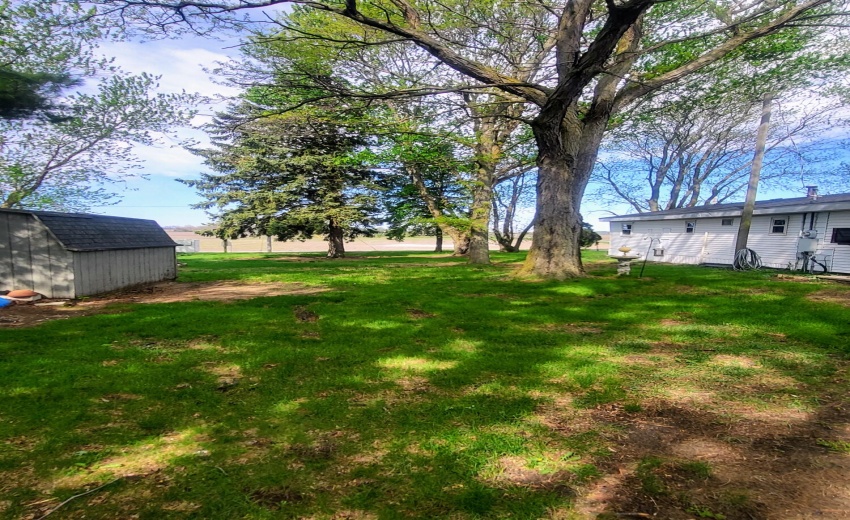 yard