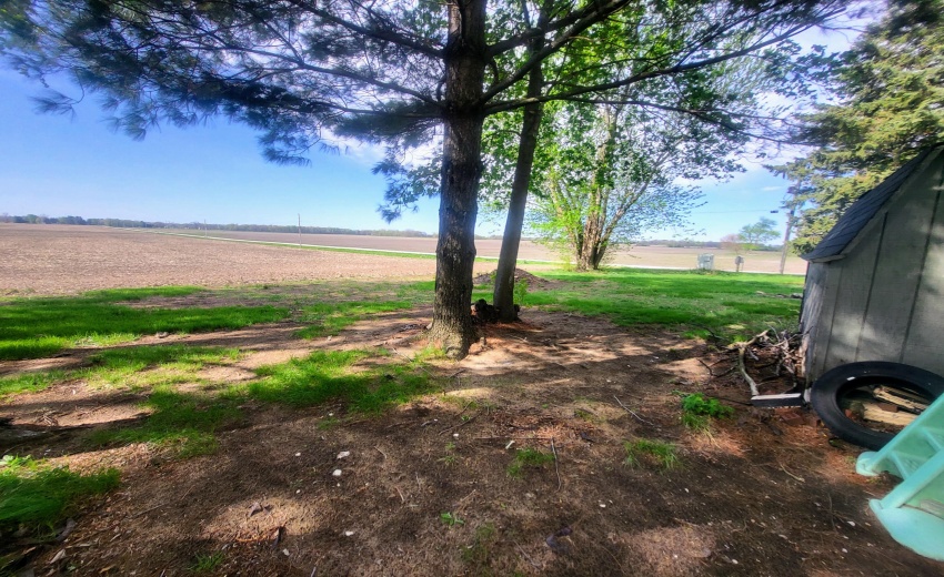 yard