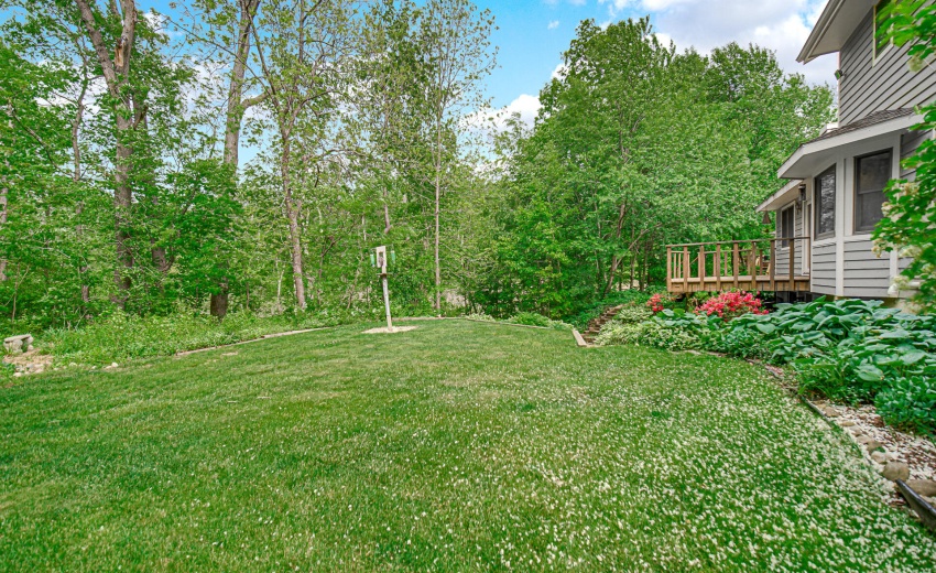 Back yard
