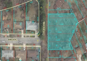231-255 Marion Marion Street, Gary, Indiana, ,Land,For Sale,Marion,NRA839281