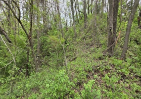1068 Warrick Street, Gary, Indiana, ,Land,For Sale,Warrick,NRA839374 1068 Warrick Street, Gary, Indiana, ,Land,For Sale,Warrick,NRA839374