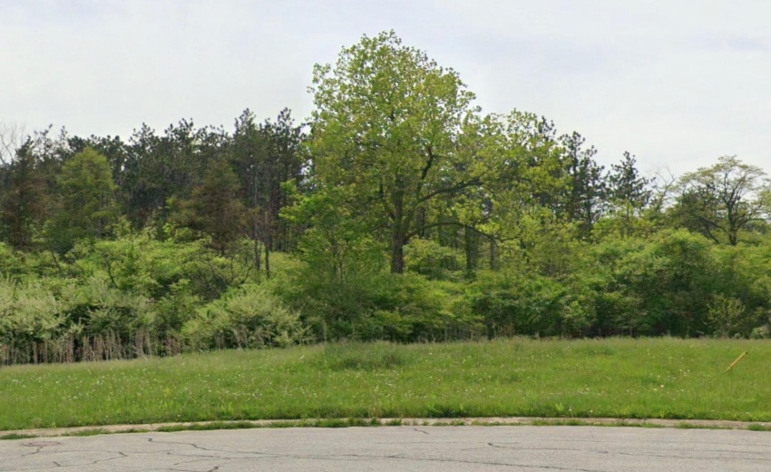 Ginger Ct