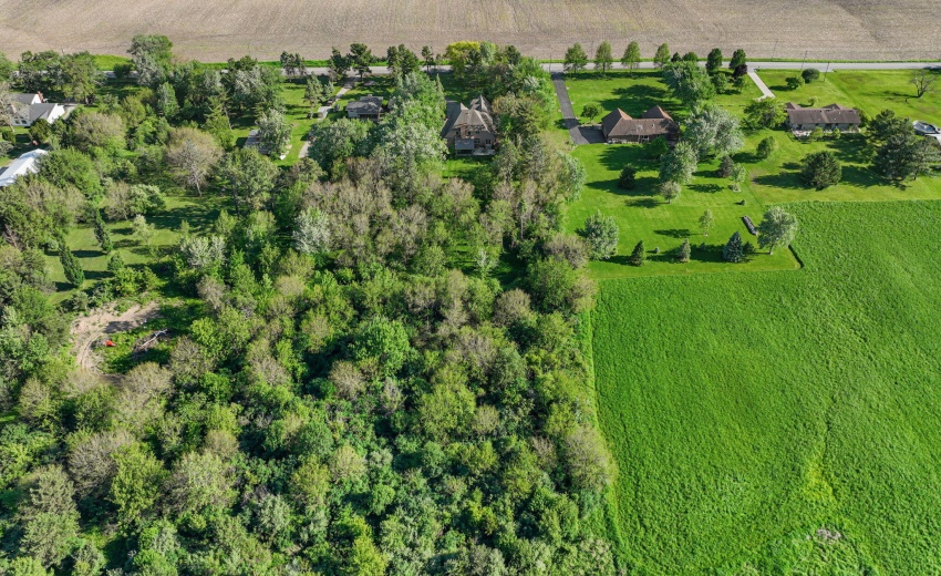 4-web-or-mls-DJI_0340