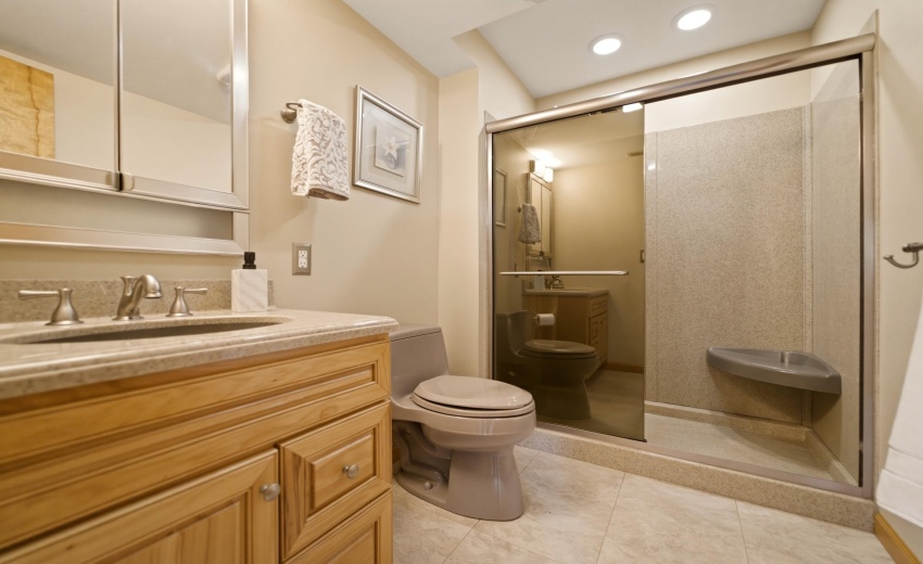 Lower Level Bathroom
