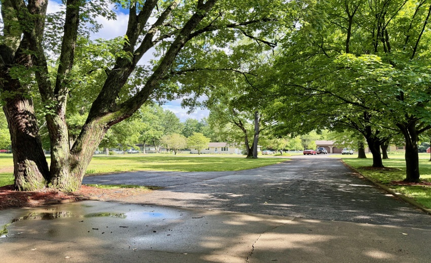 Driveway