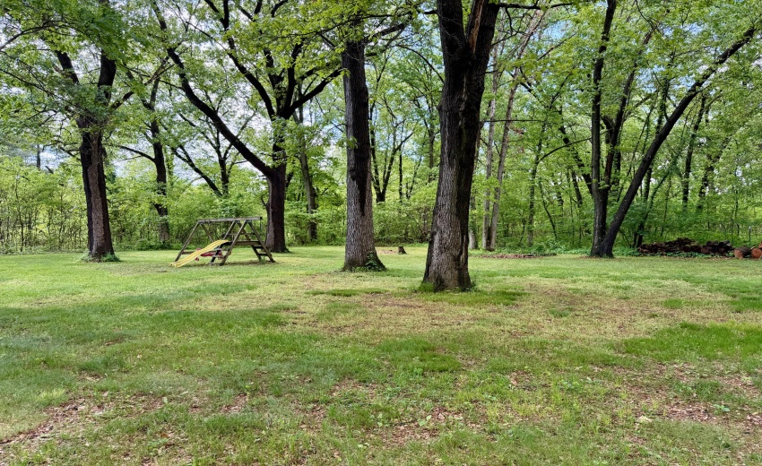 Yard