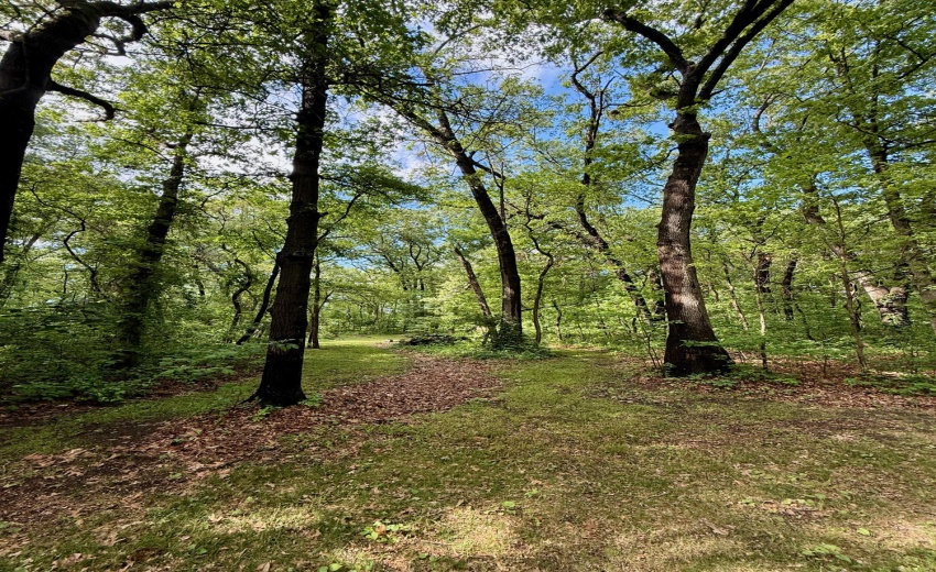 Yard 2