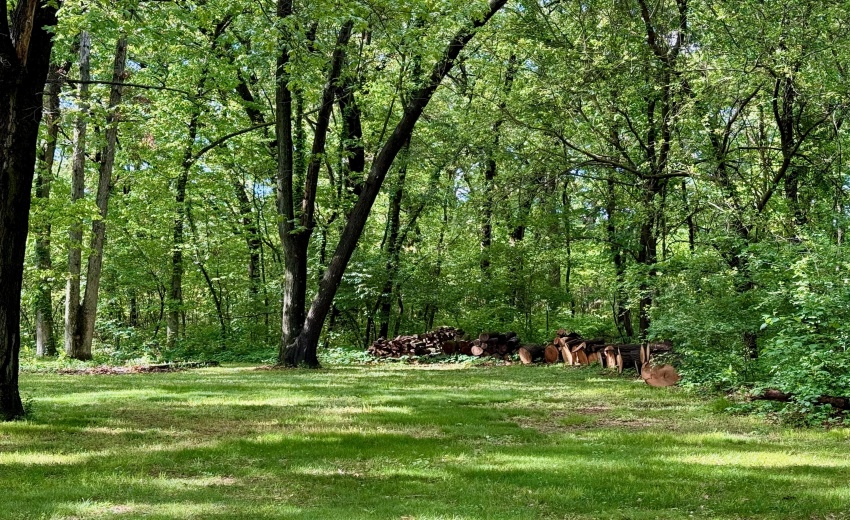 Yard 4