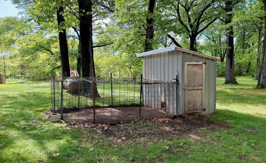 Chicken Coop
