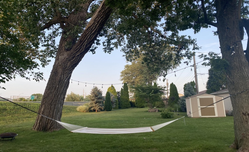 hammock photo