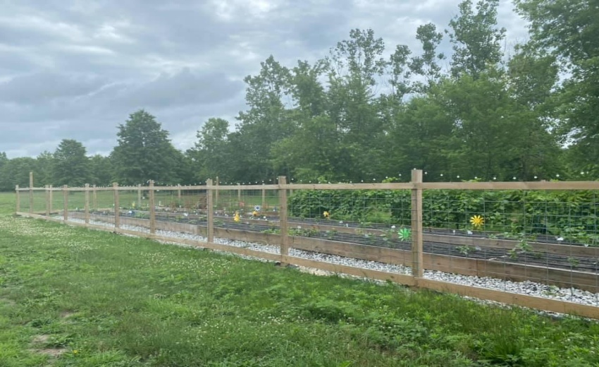 Garden Growing