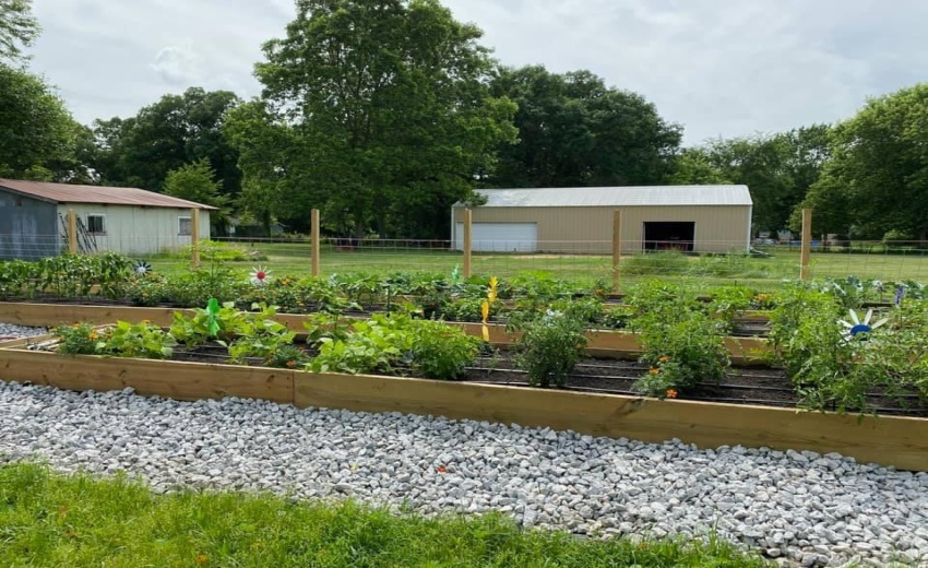 Garden Growing