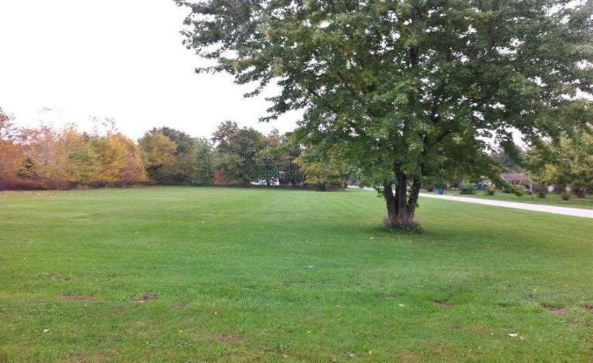 Acreage in Fall