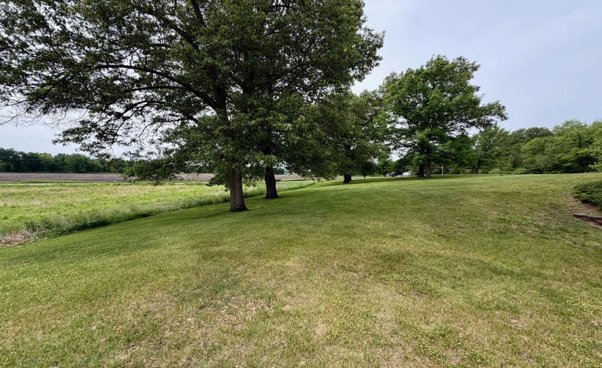 Yard 4