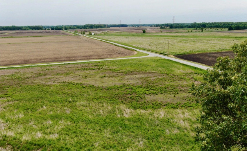 View Field