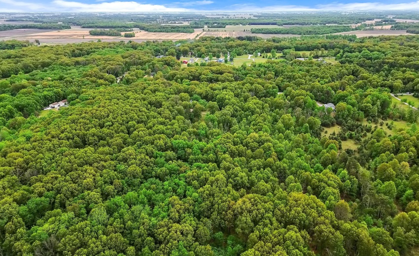 23-web-or-mls-DJI_0949