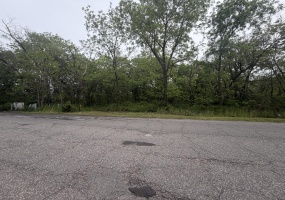 501 41st Avenue, Gary, Indiana, ,Land,For Sale,41st,NRA839616 501 41st Avenue, Gary, Indiana, ,Land,For Sale,41st,NRA839616