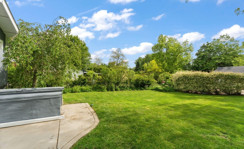 45-web-or-mls-DSC02388