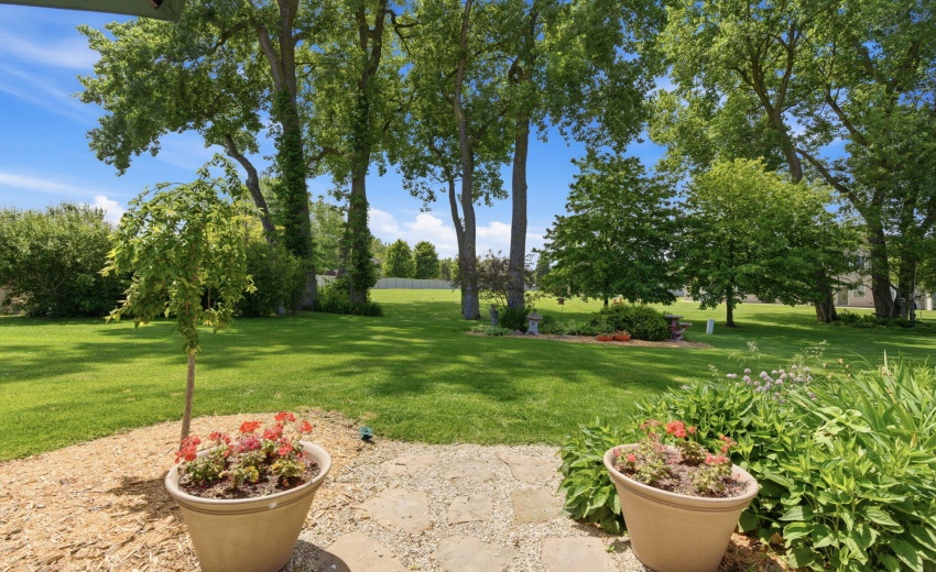 back yard