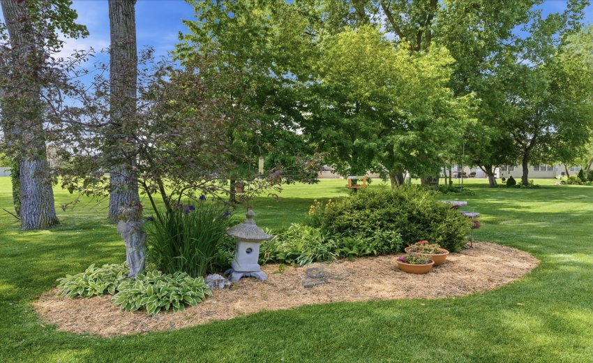 back yard view