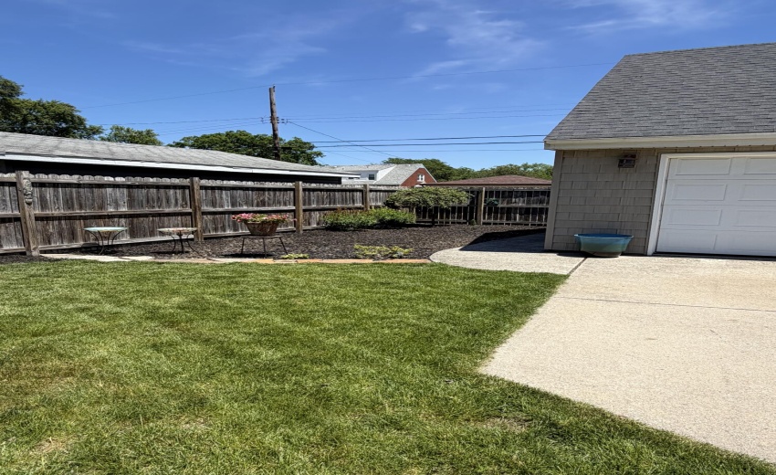 backyard 1