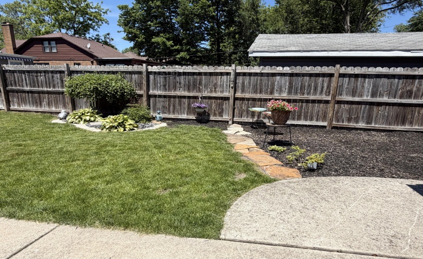 backyard 2