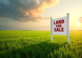 000 Division Street, DeMotte, Indiana, ,Land,For Sale,Division,NRA839665