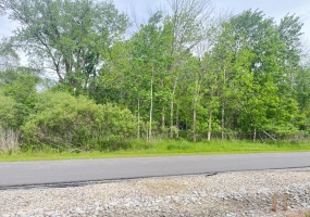 123 Lillian St, Griffith, Indiana, ,Land,For Sale,Lillian St,NRA839768 123 Lillian St, Griffith, Indiana, ,Land,For Sale,Lillian St,NRA839768