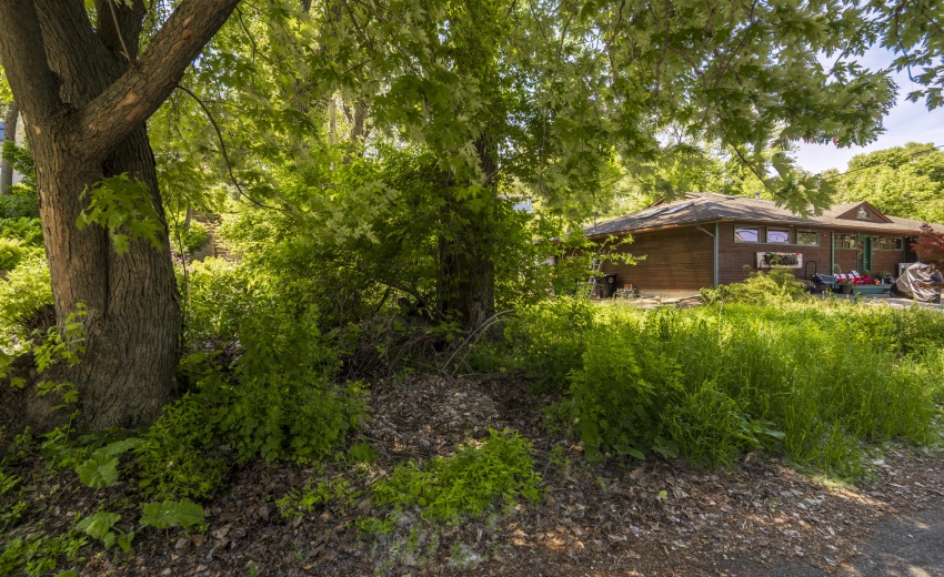 Oak0023