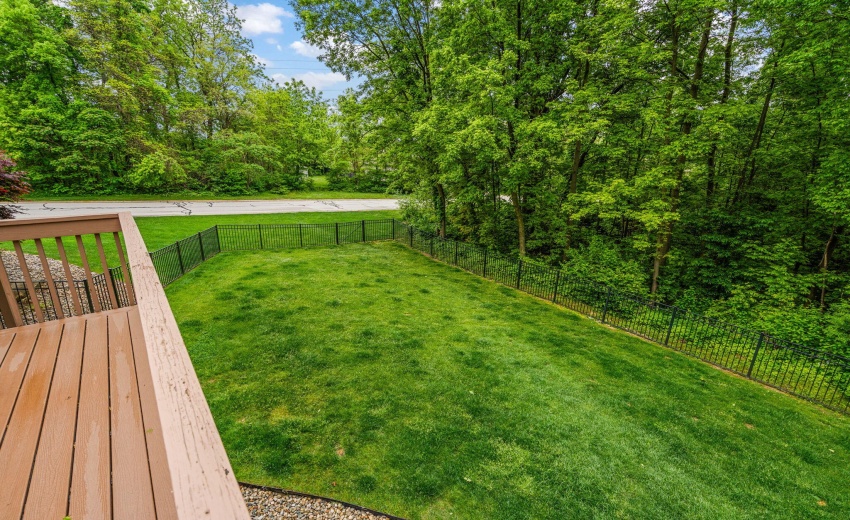 29-web-or-mls-DSC07126