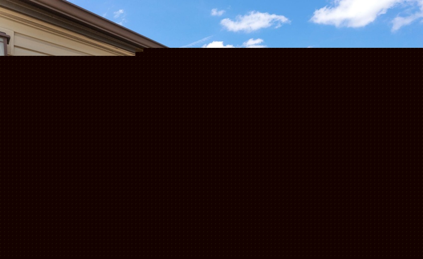 49-web-or-mls-DSC06766