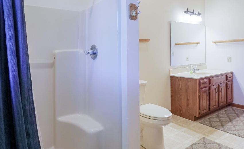 Lower Level Bath