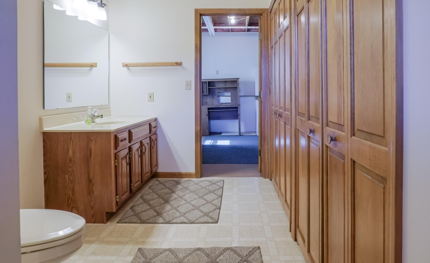 Lower Level Bathroom