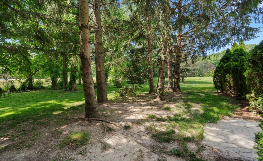 42-web-or-mls-DSC03007