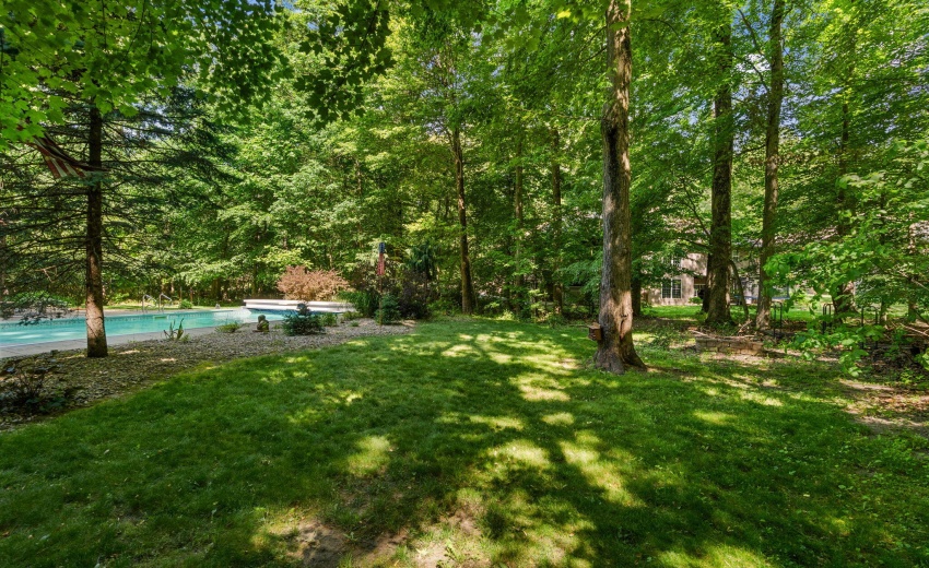 62-web-or-mls-DSC02203