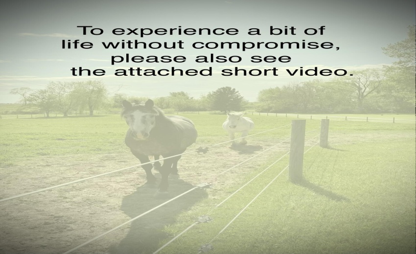 A life without compromise