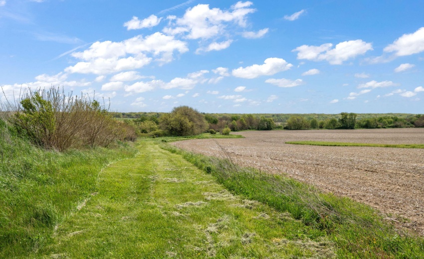 South property line