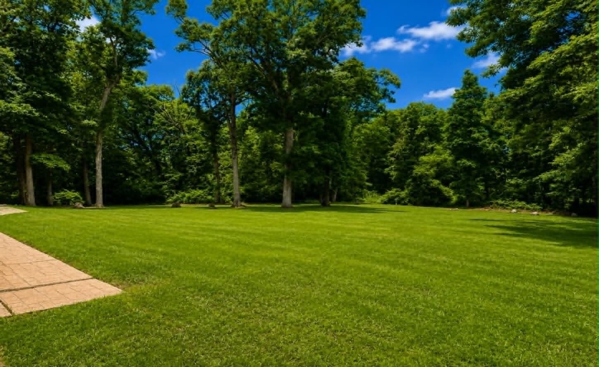 front yard