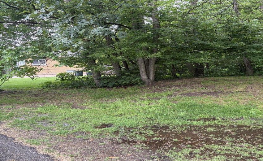 IMG_1195