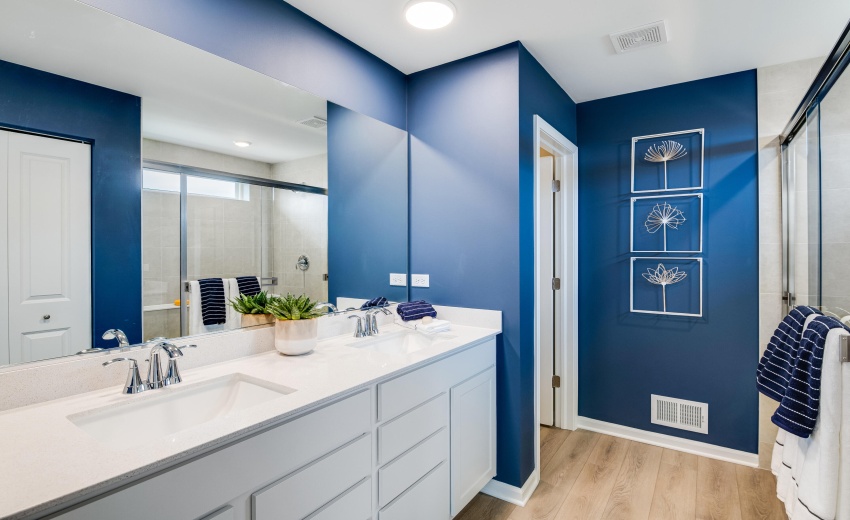 Owner's Bath