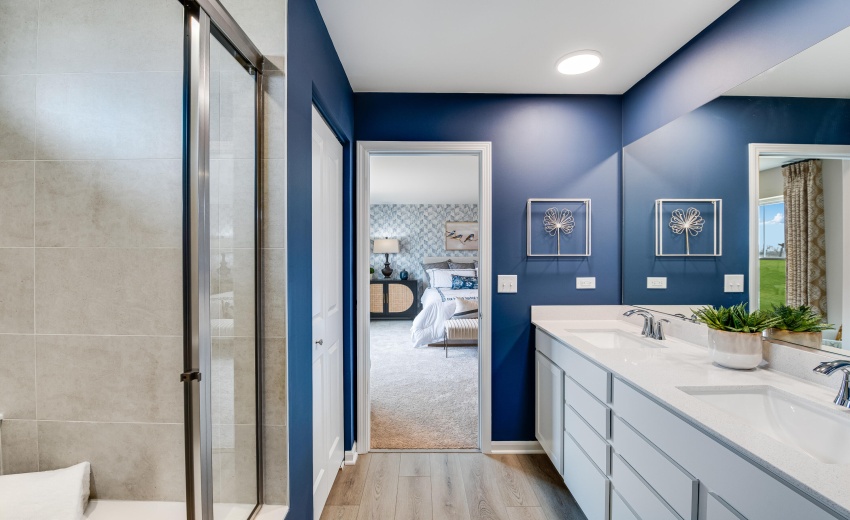 Owner's Bath