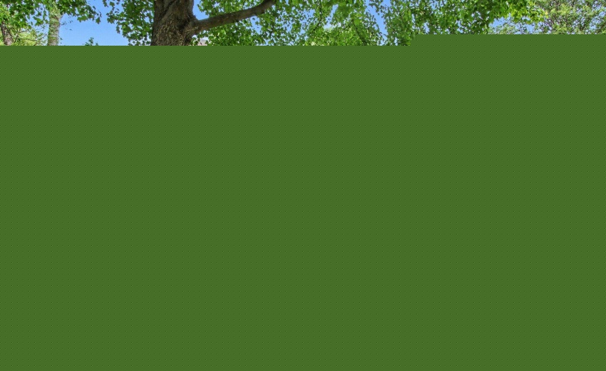 006_file_1301