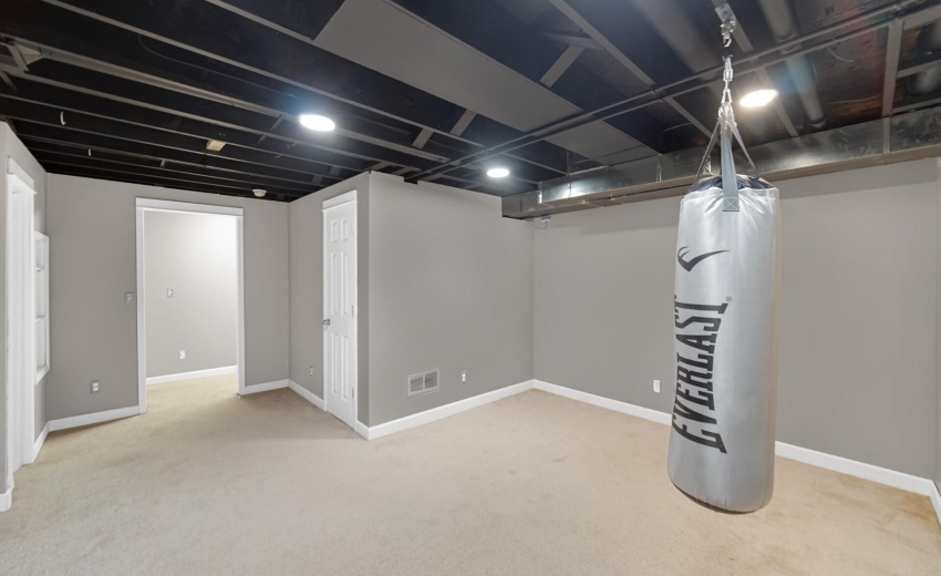 lower level rec