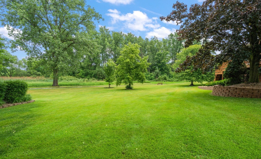 49-web-or-mls-DSC03445