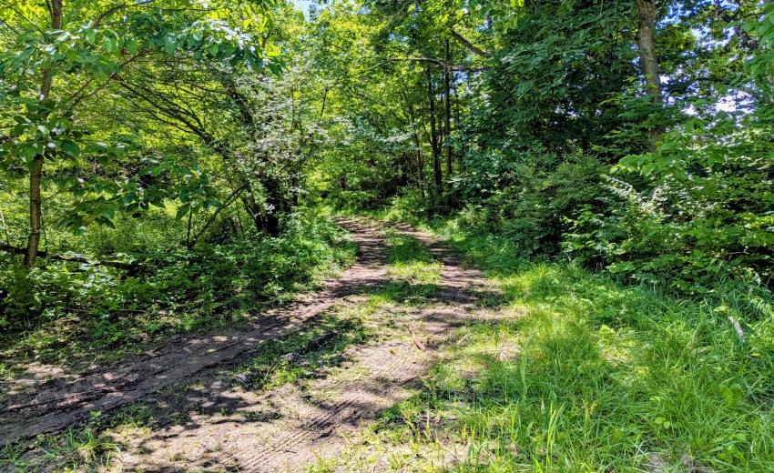 trail to 100 N.